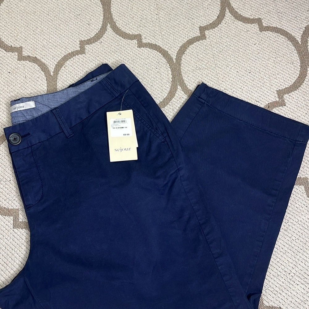 Sejure cropped navy peacoat pants. Gently used.